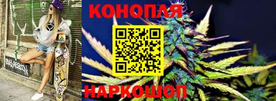 apvp Можга